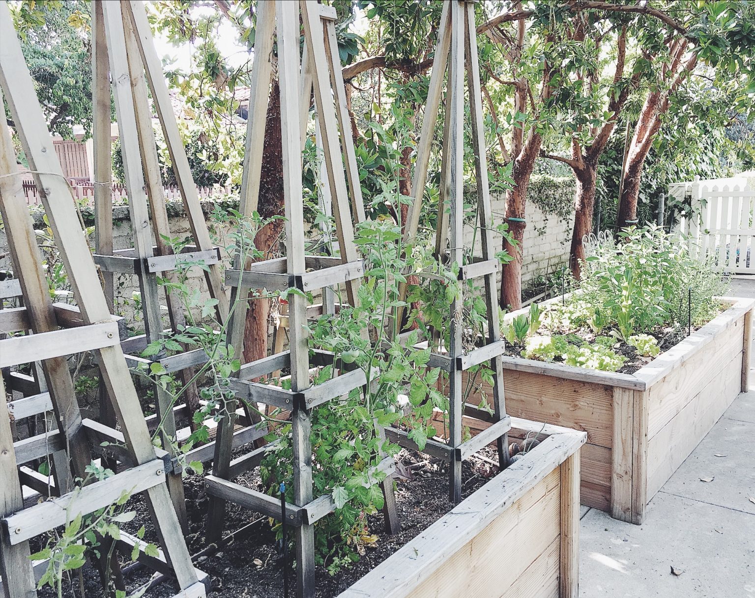 AROUND THE HOUSE // Raised Vegetable Beds + Tomato Trellis - MY 100 YEAR  OLD HOME