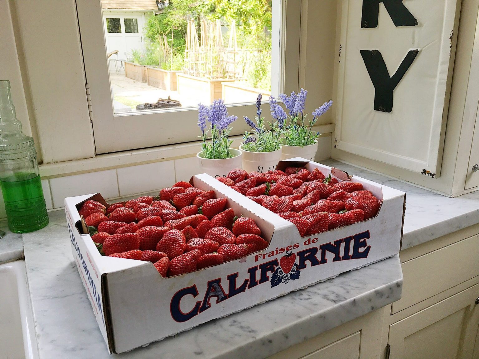 california strawberries