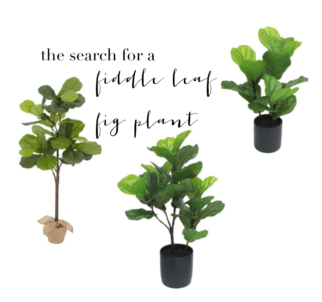 FINDS OF THE WEEK // The Fiddle Leaf Search