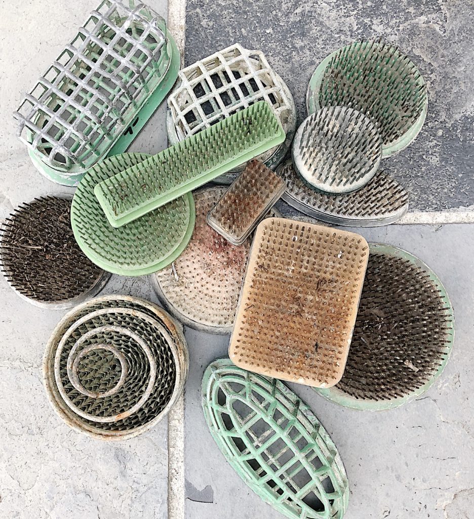 What are flower frogs?