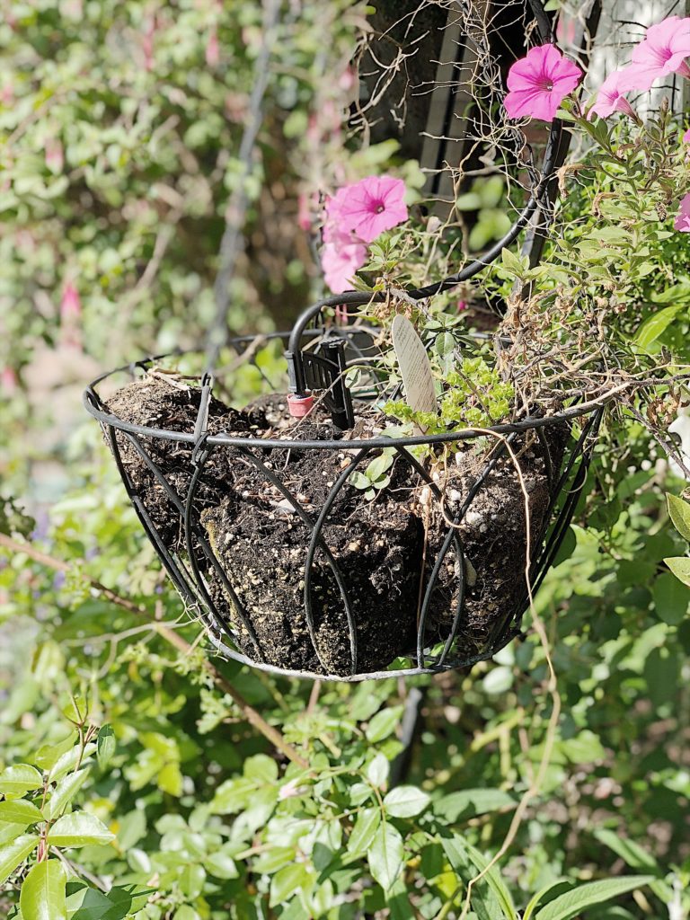 Hanging flower baskets