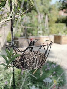 Hanging flower baskets