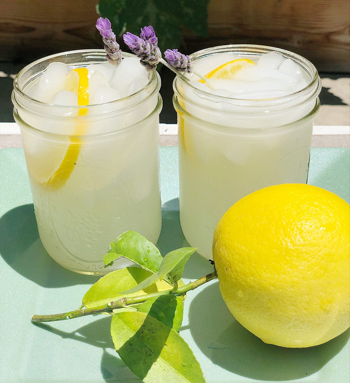 summer sips meyer lemon