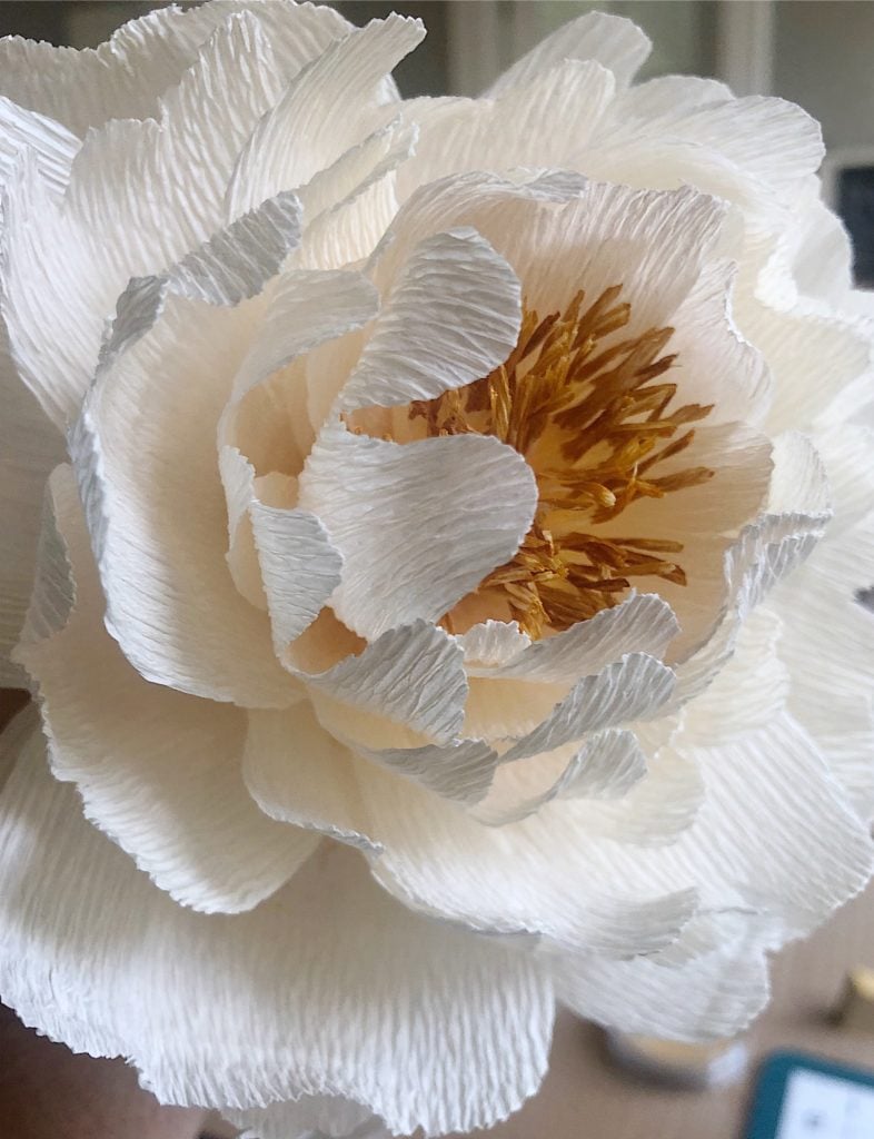 Make Crepe Paper Peony Flowers That Look Real! - Jennifer Maker