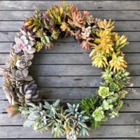 how to make a succulent wreath DIY