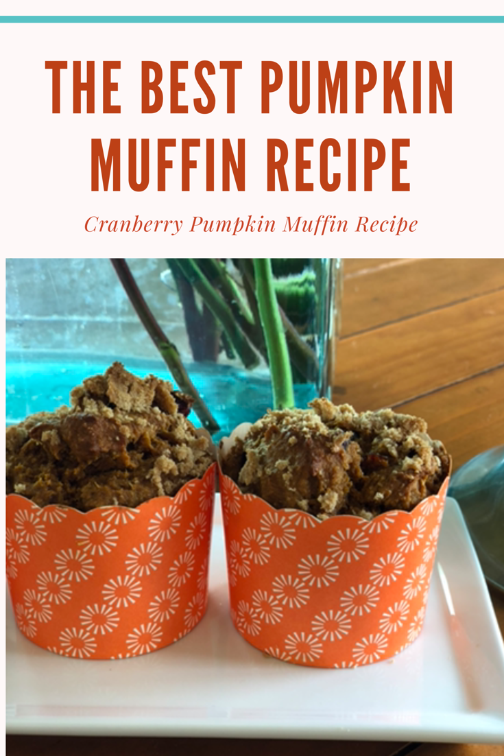 This cranberry pumpkin muffin recipe is so easy to make and the muffins are delicious. Whip up a batch for breakfast for the week!