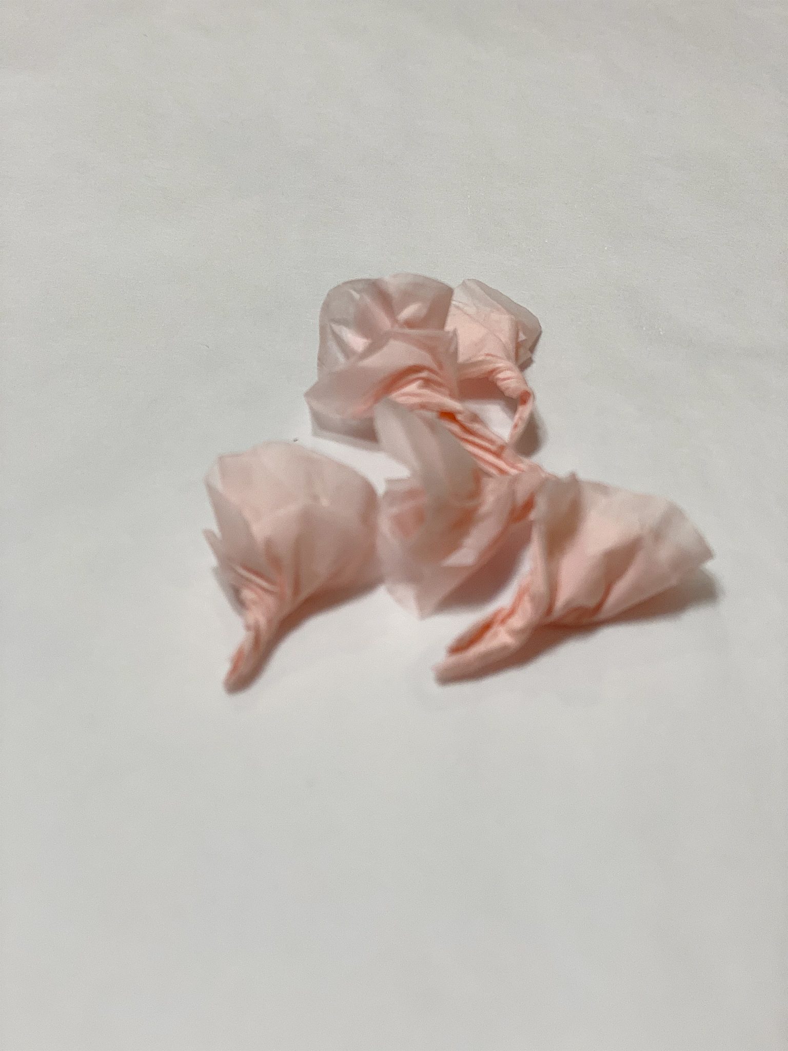 Tissue Paper Cherry Blossoms