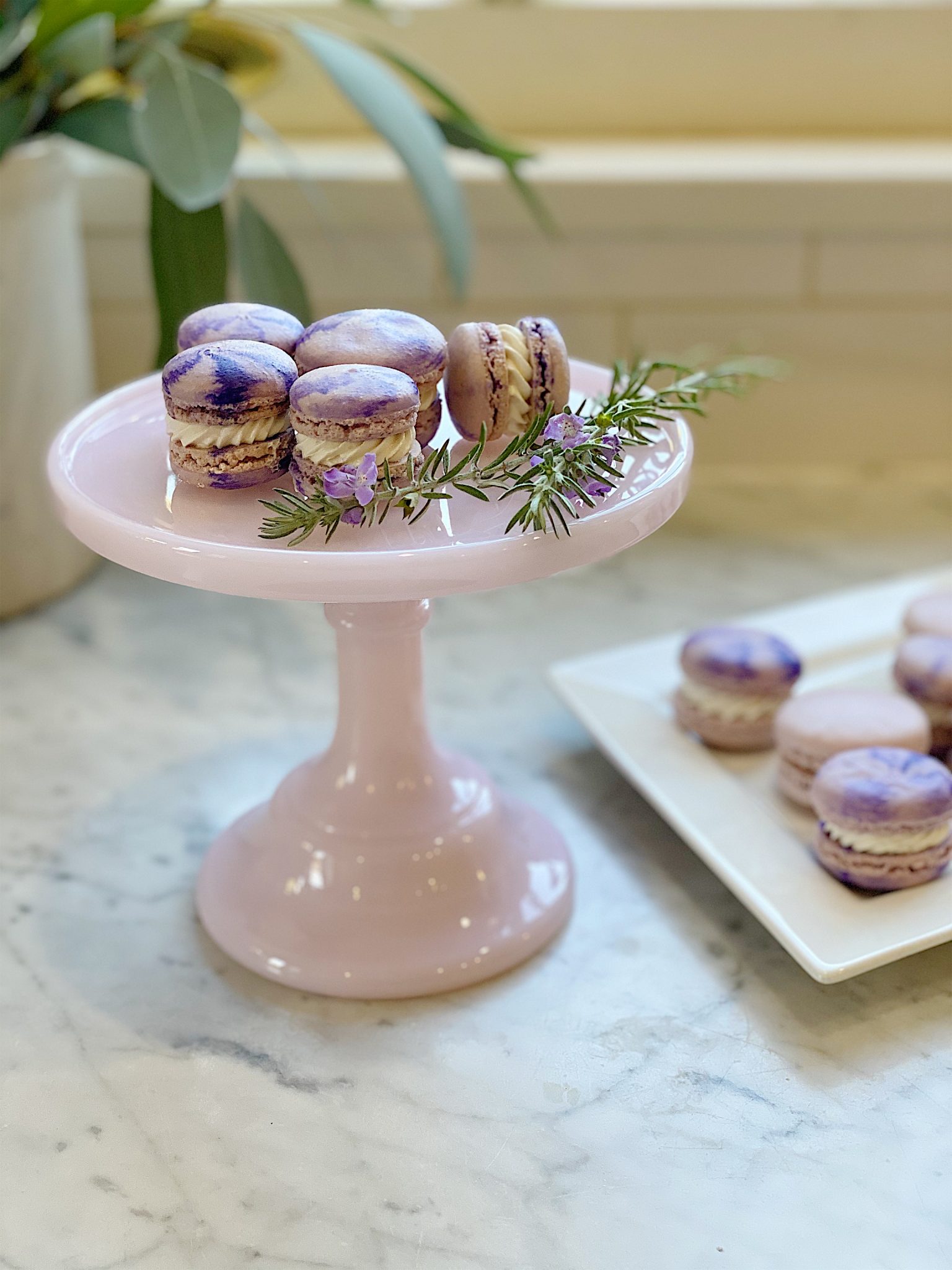 Meringue Up Macarons