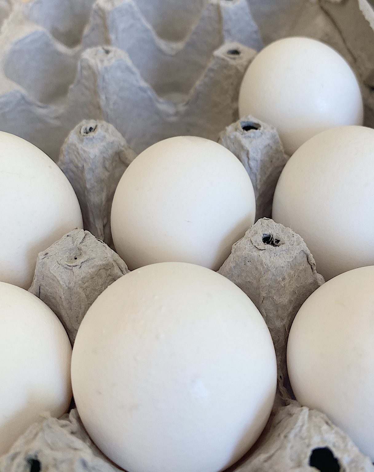 Egg Cartons for Crafts