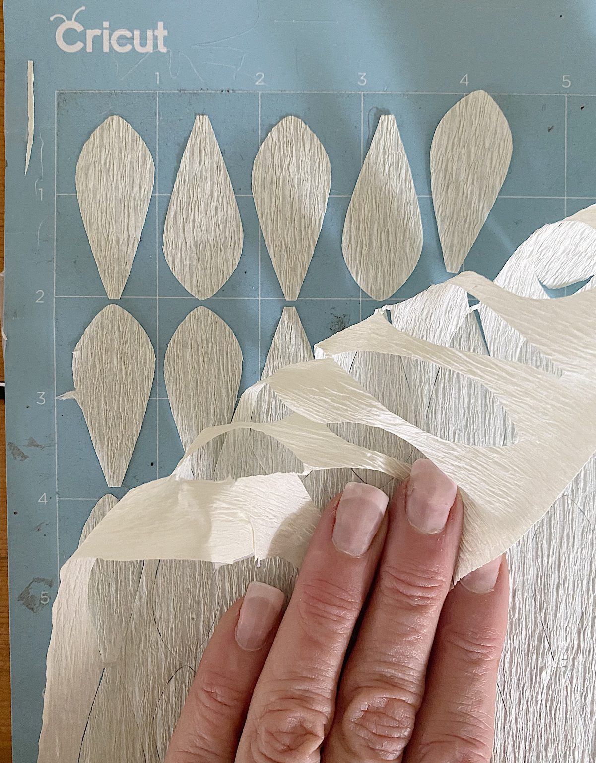 cutting petals on the cricut