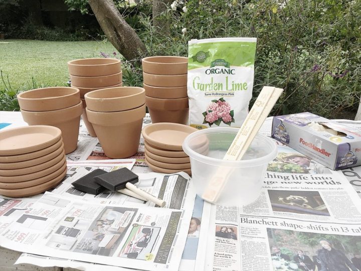 Learn how to age terra cotta pots