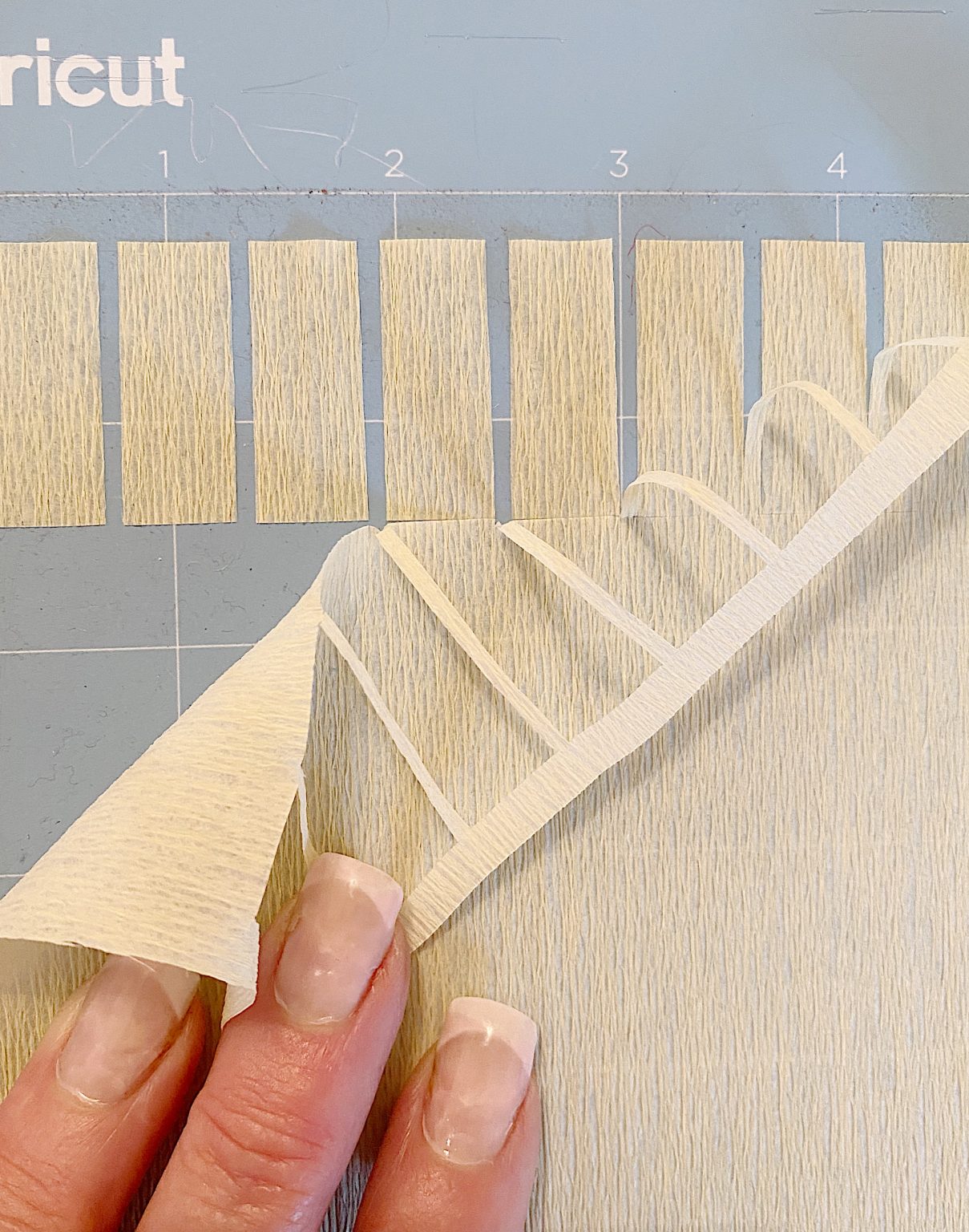 using the cricut to cut crepe paper
