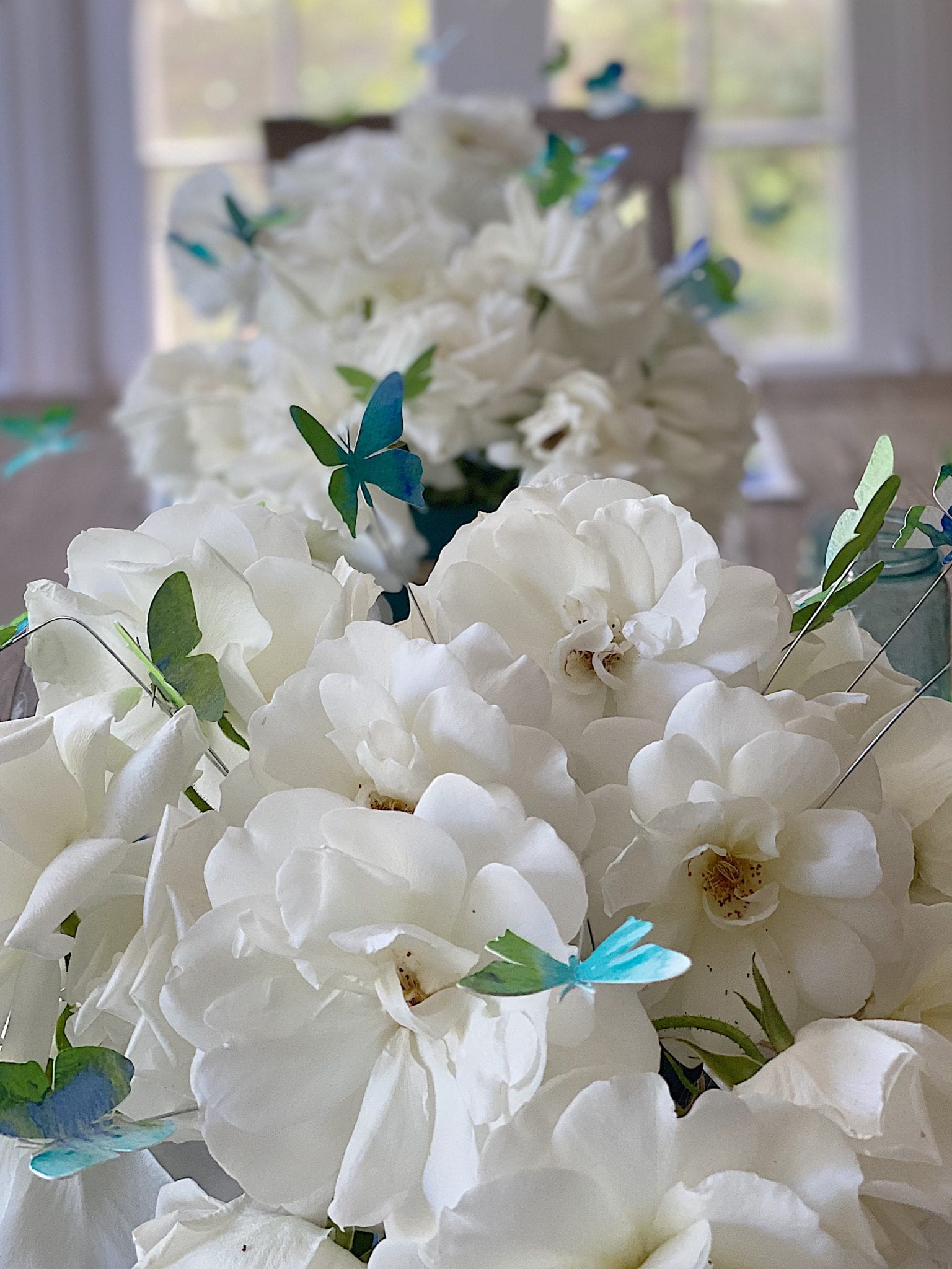 Butterflies on Flowers