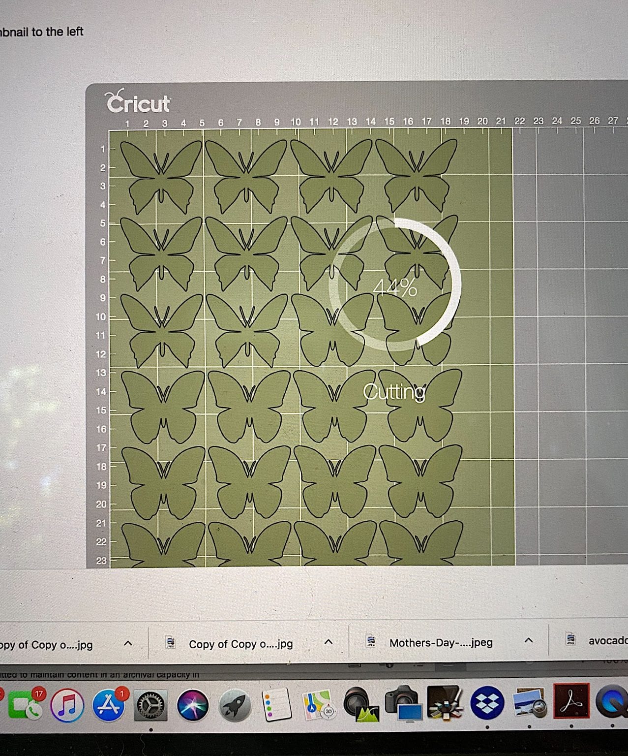 Cricut Butterflies
