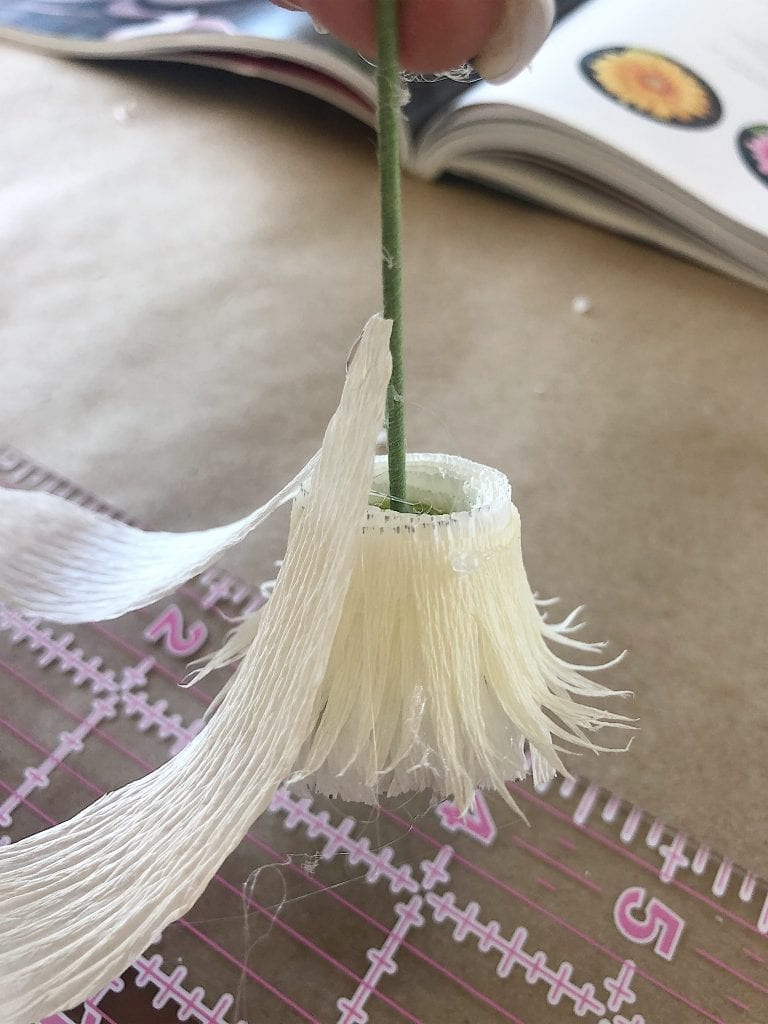 Making Crepe Paper Flowers