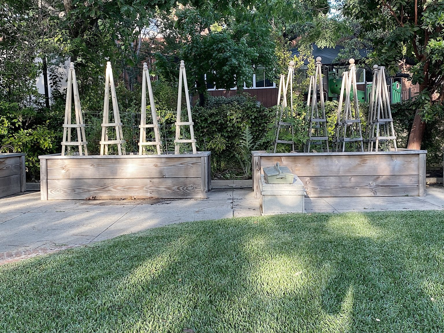 New and Old Tomato Cages
