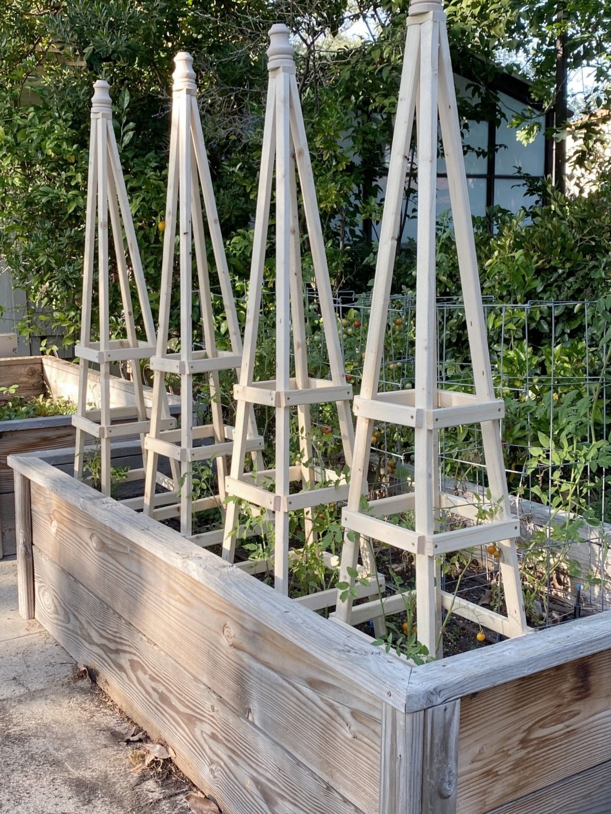 The Easiest Way to Build Tomato Cages