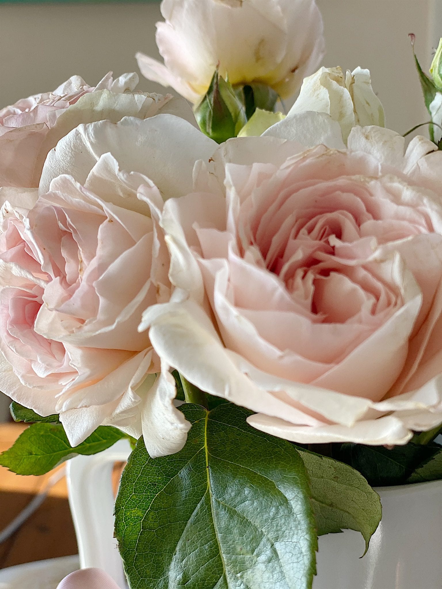 Mother's Day Flowers