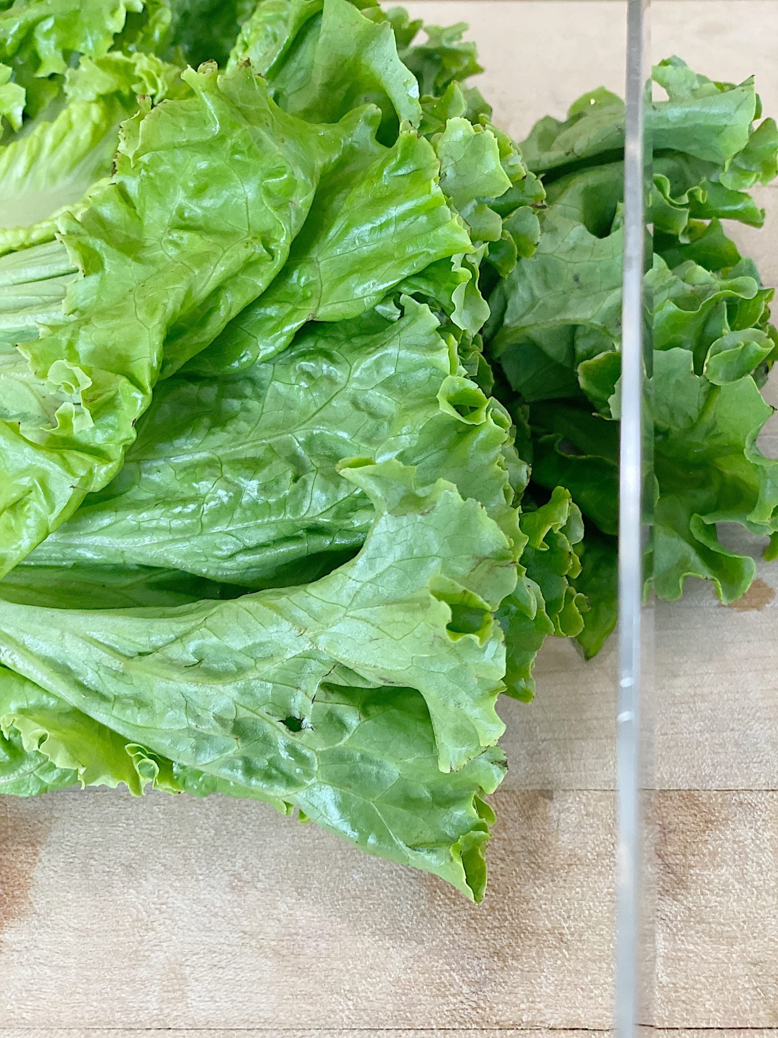 Preparing the Romaine Lettuce