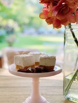 Marshmallow S'Mores