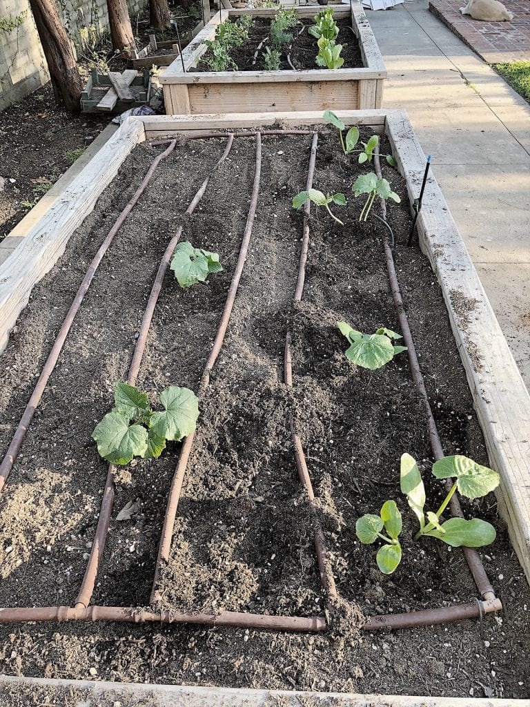 Watering System for Raised Vegetable Beds