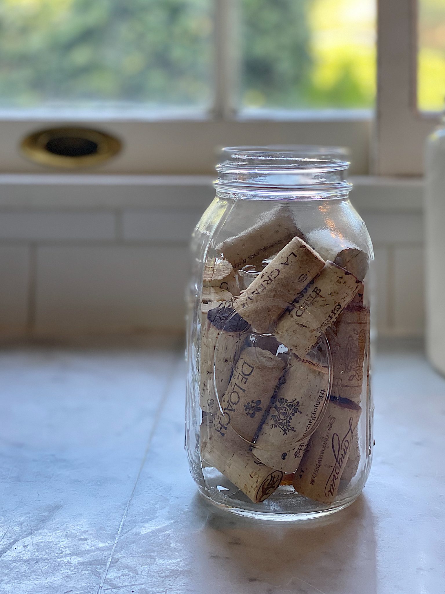 Cork Vase