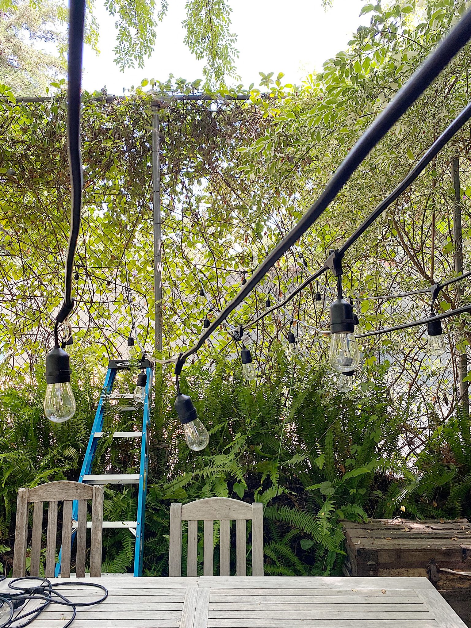 Hanging the Lights 