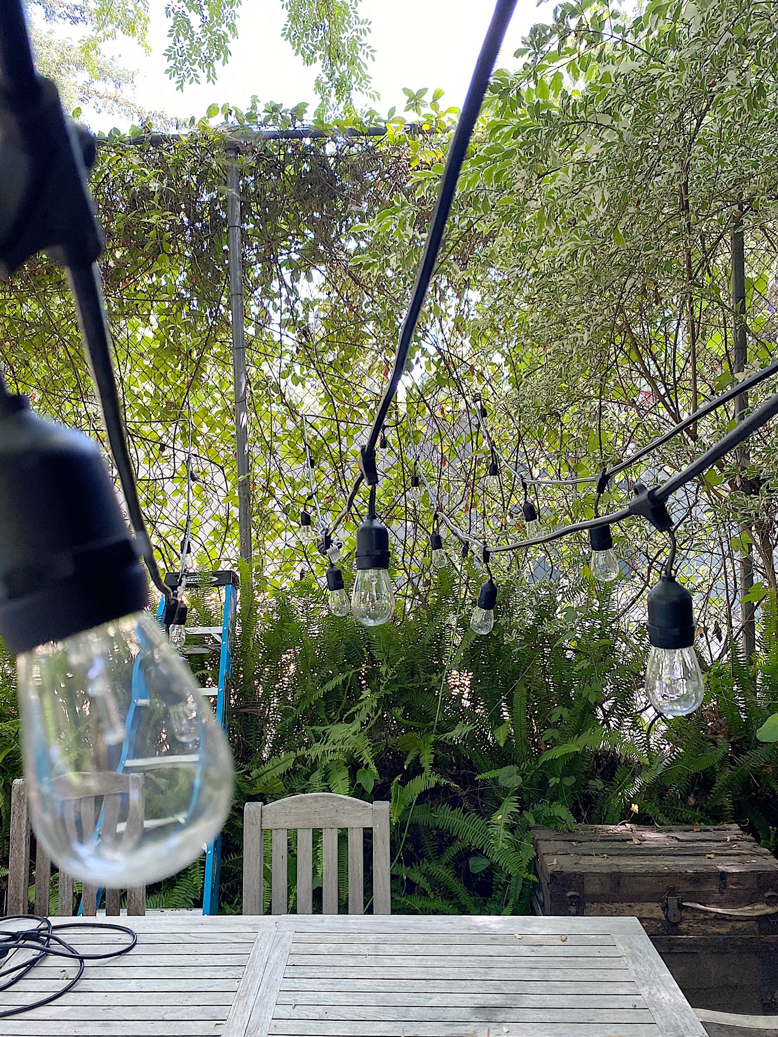 Hanging the Lights Above the Table