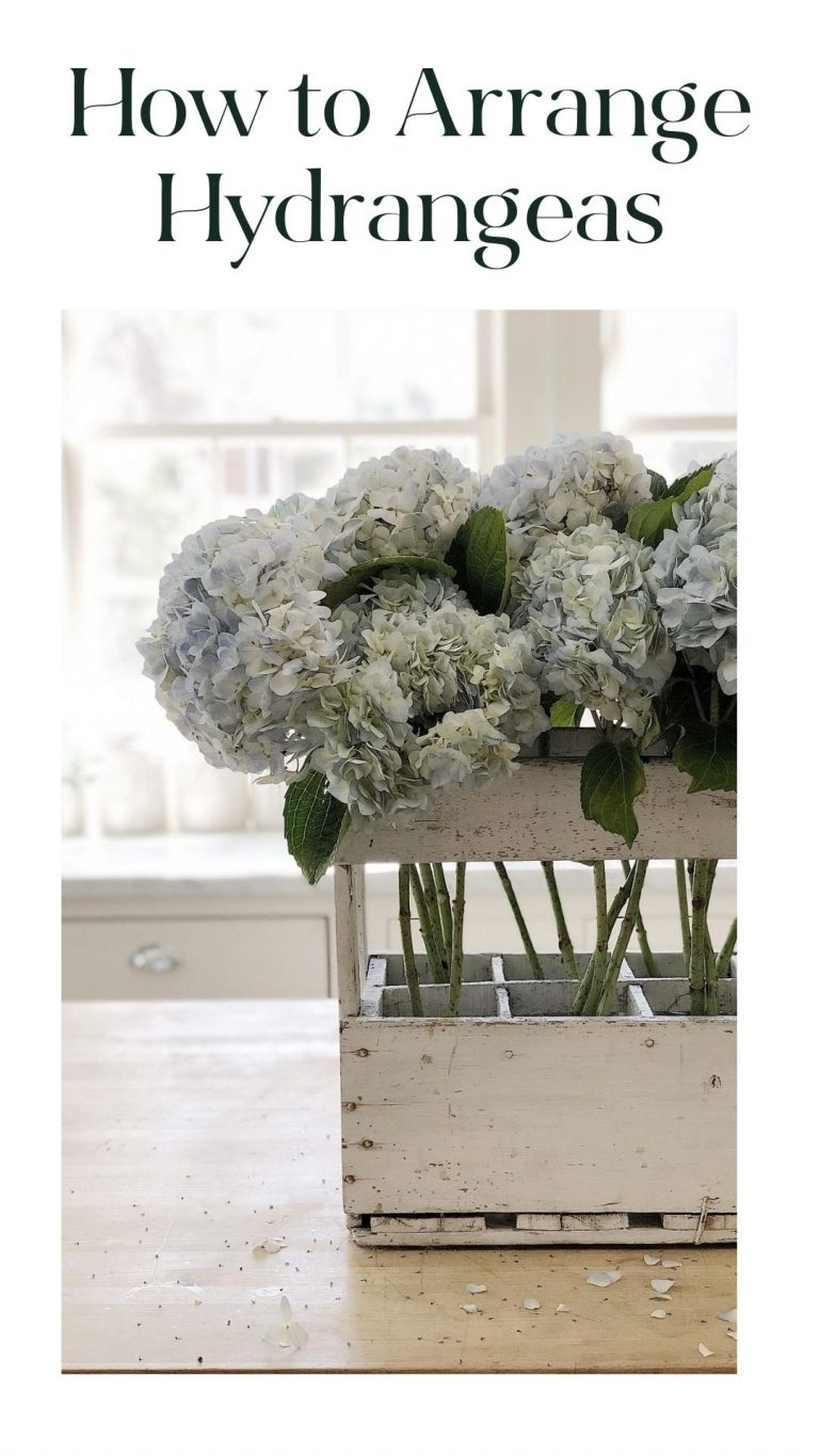 How to Arrange Hydrangea Flowers