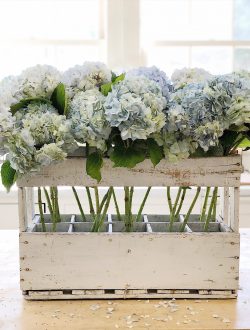Hydrangea Flowers in a Champagne Crate