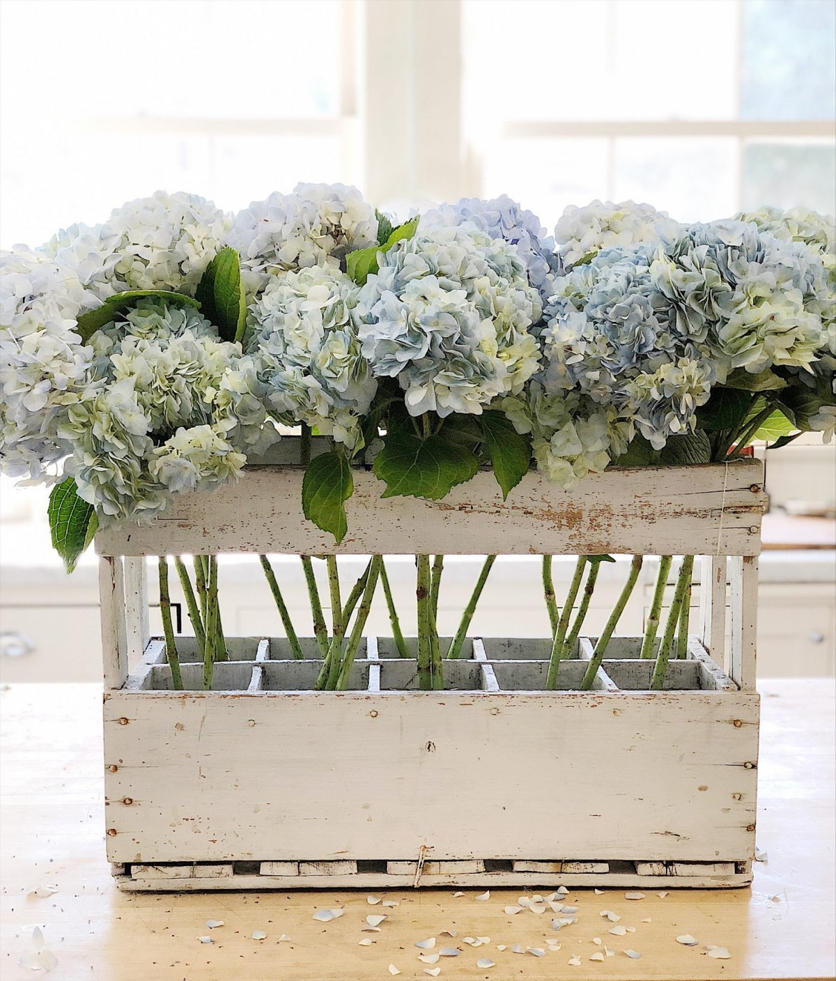 Hydrangea Flowers in a Champagne Crate