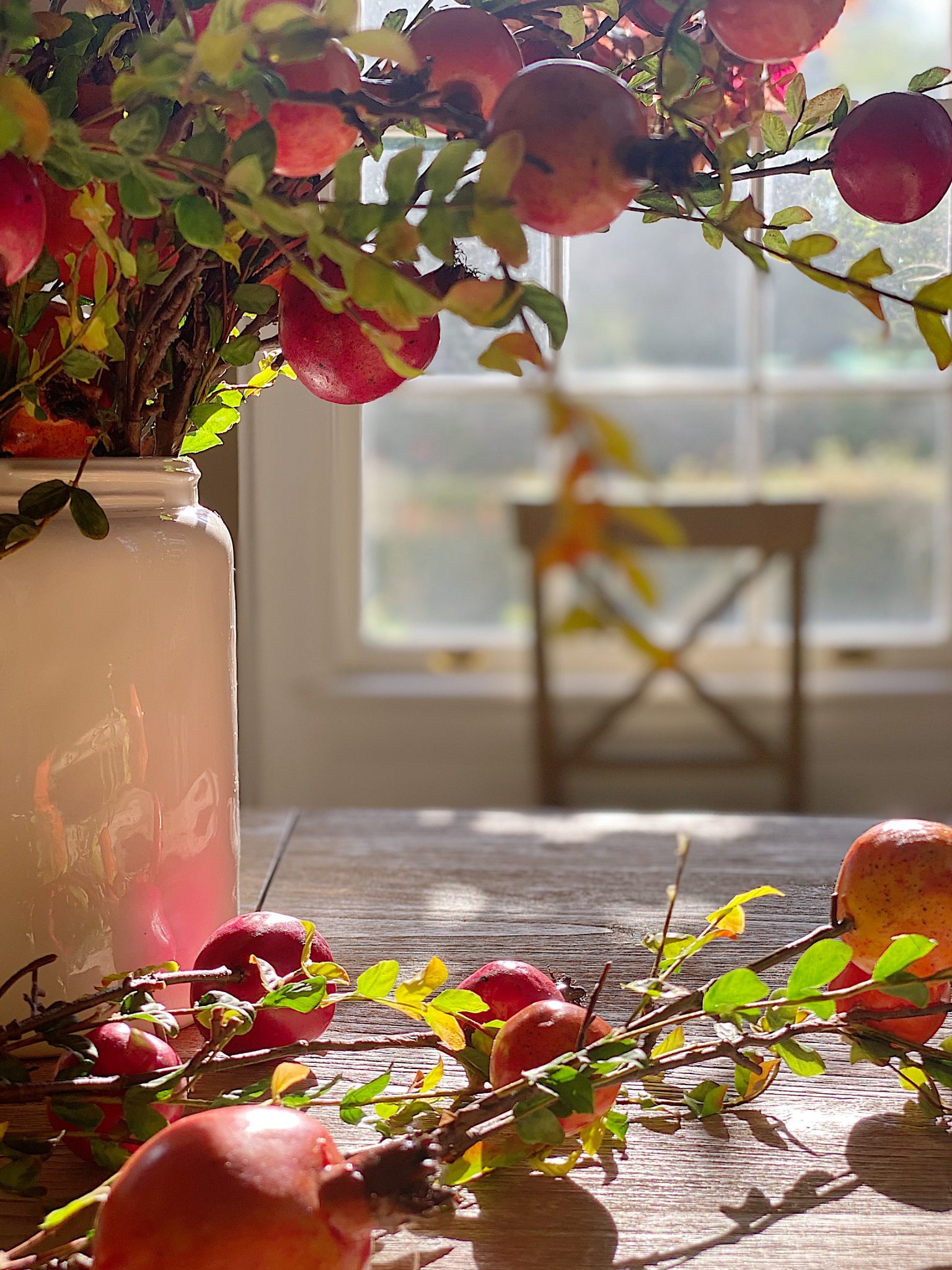 Pomegranate Branches