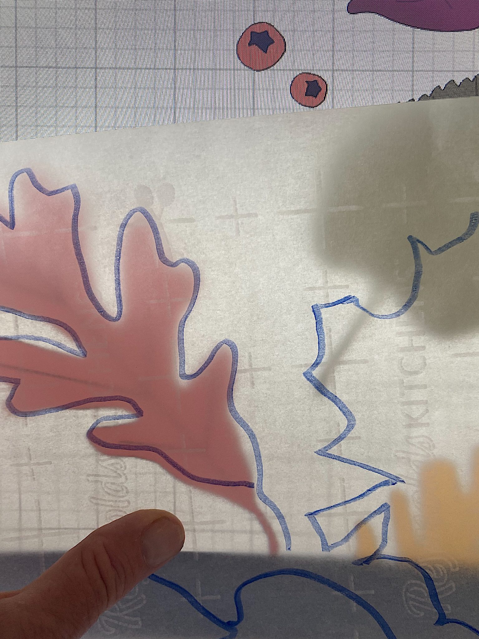 Tracing the Leaf Pattern on my Computer Screen