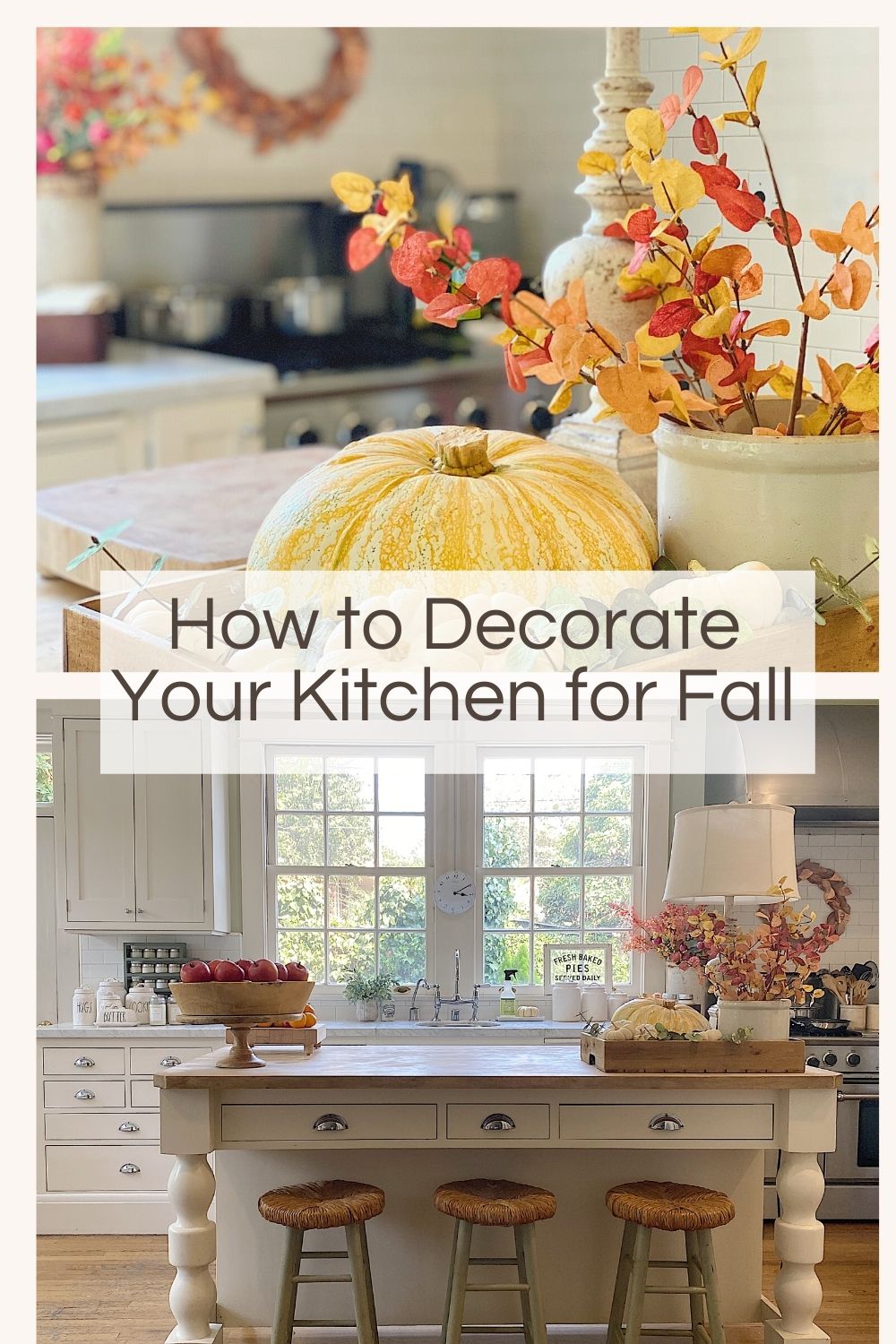 I love adding fall cozy kitchen decor to our home. These gorgeous foliage greens add so much color and beauty to our kitchen.