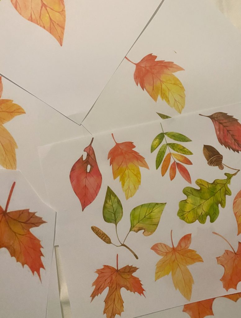 Leaf Patterns