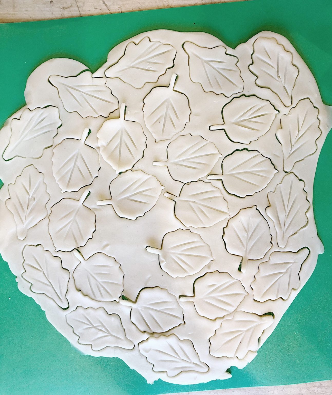 How to Make a Rosette Pie Crust