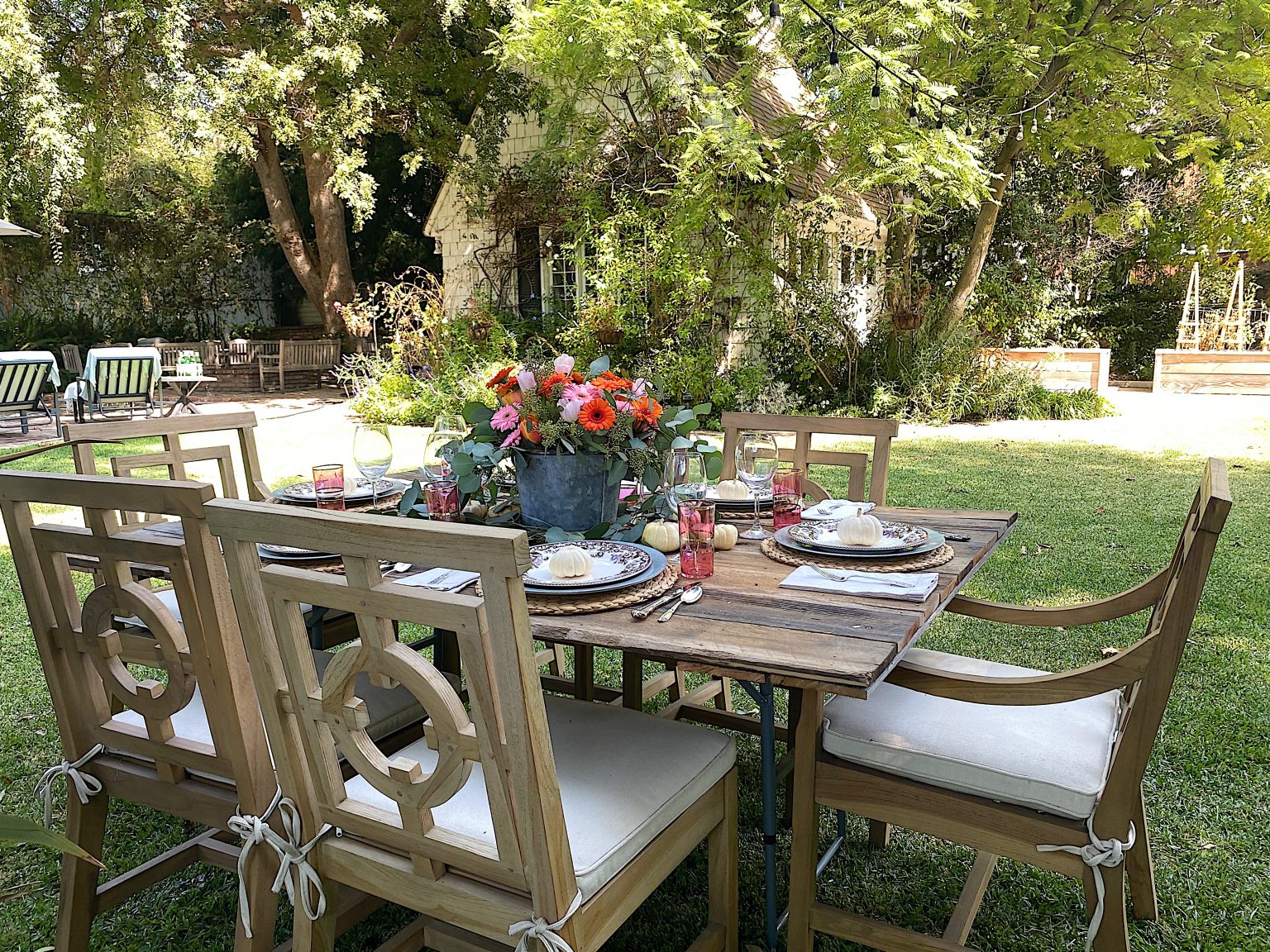 Dinner in the Backyard