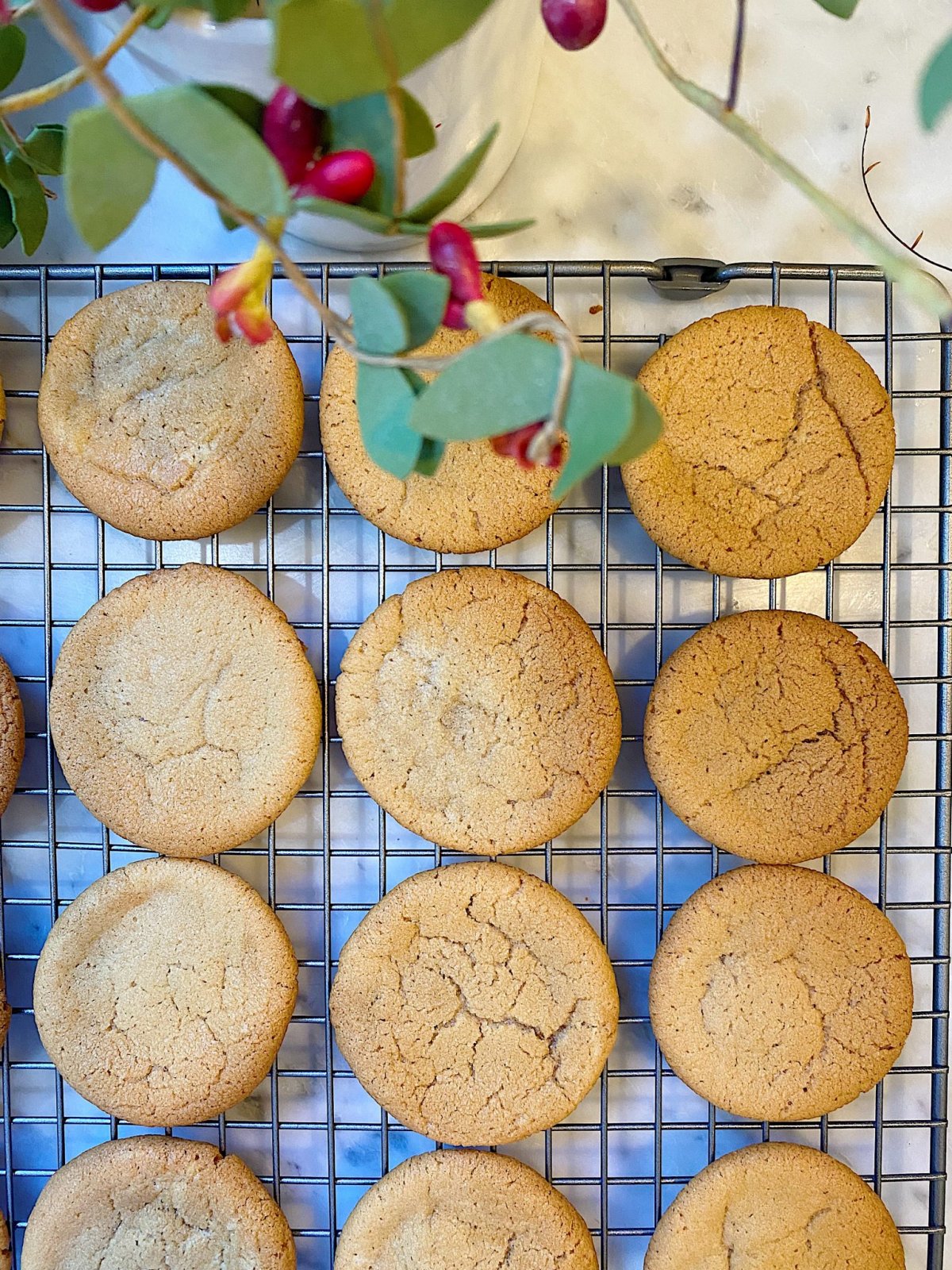 Why I Choose Stoneware for Baking & 11 Family Favorite Cookie Recipes for  the Holidays