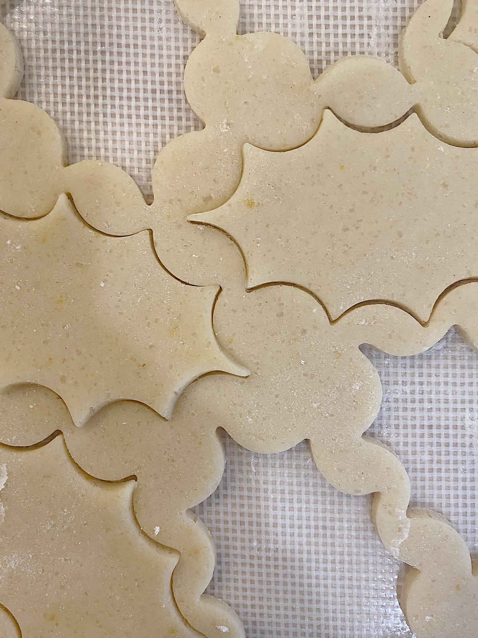 Christmas Cookie Wreath