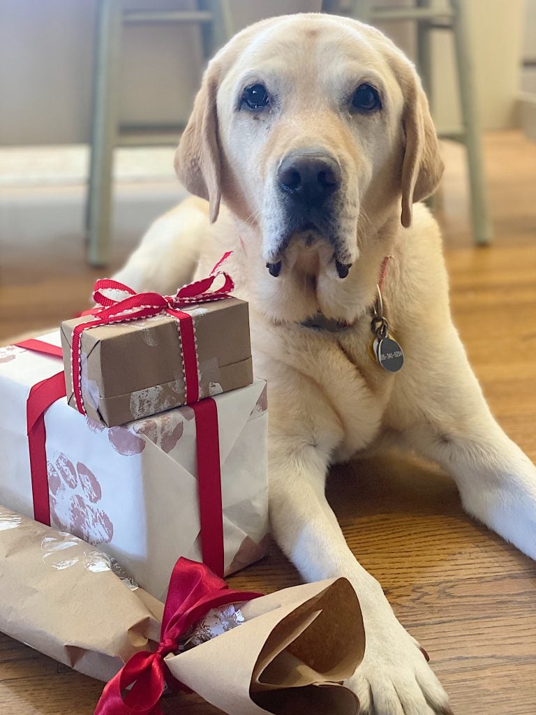 Creative Pet Gift Wrapping Ideas 
