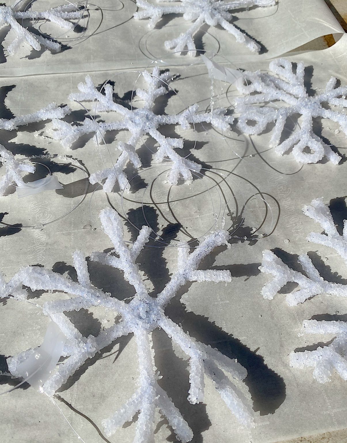 Snowflakes Drying in the Sun