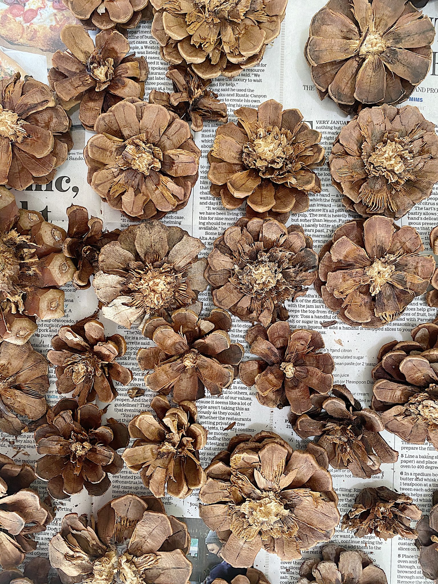 Pine Cone Wreath DIY Cut Pine Cones