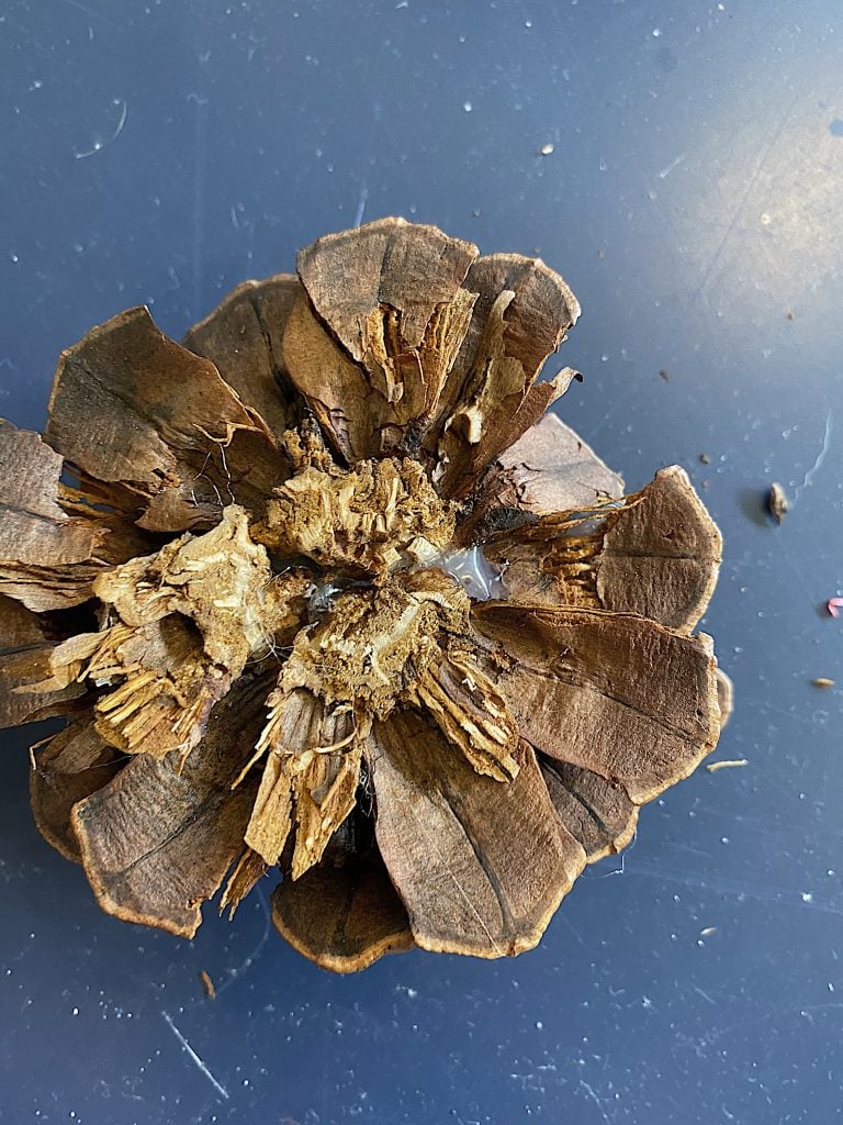 Pine Cone Wreath DIY Glue Repair