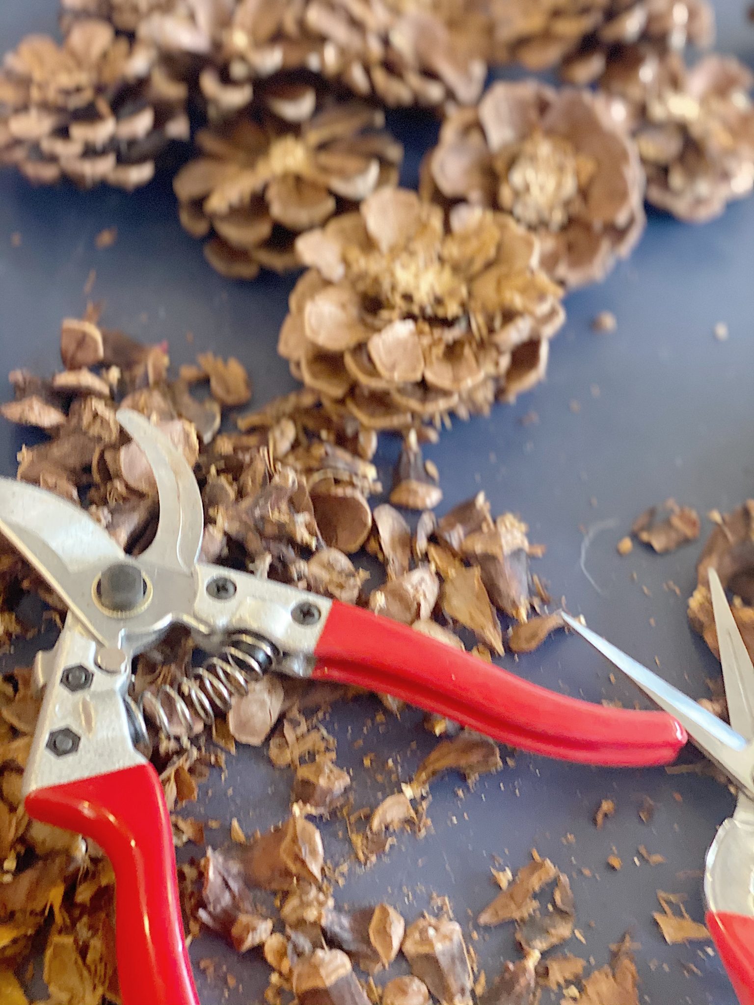 Pine Cone Wreath DIY Tools