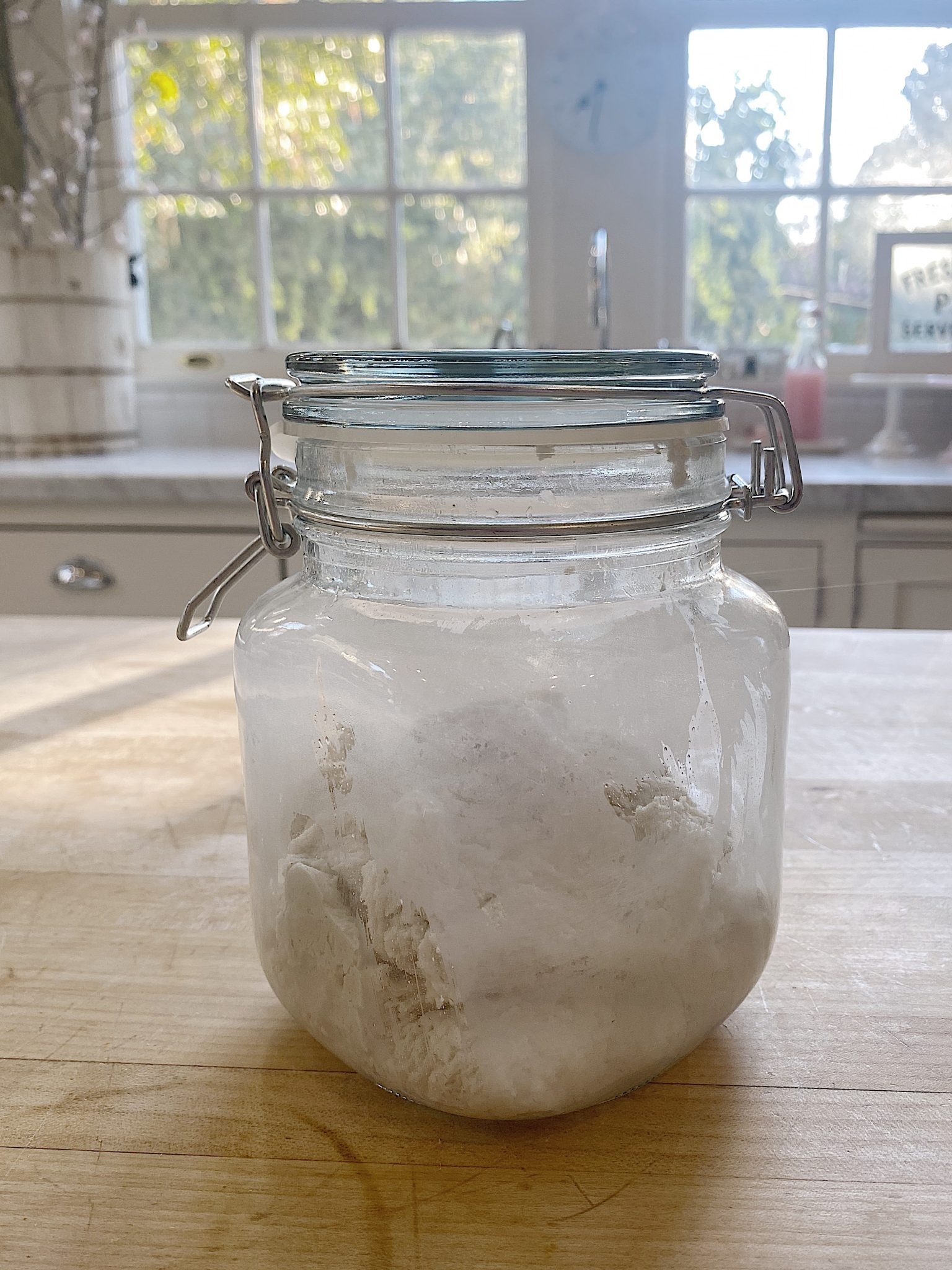 Gluten-Free Sourdough Starter