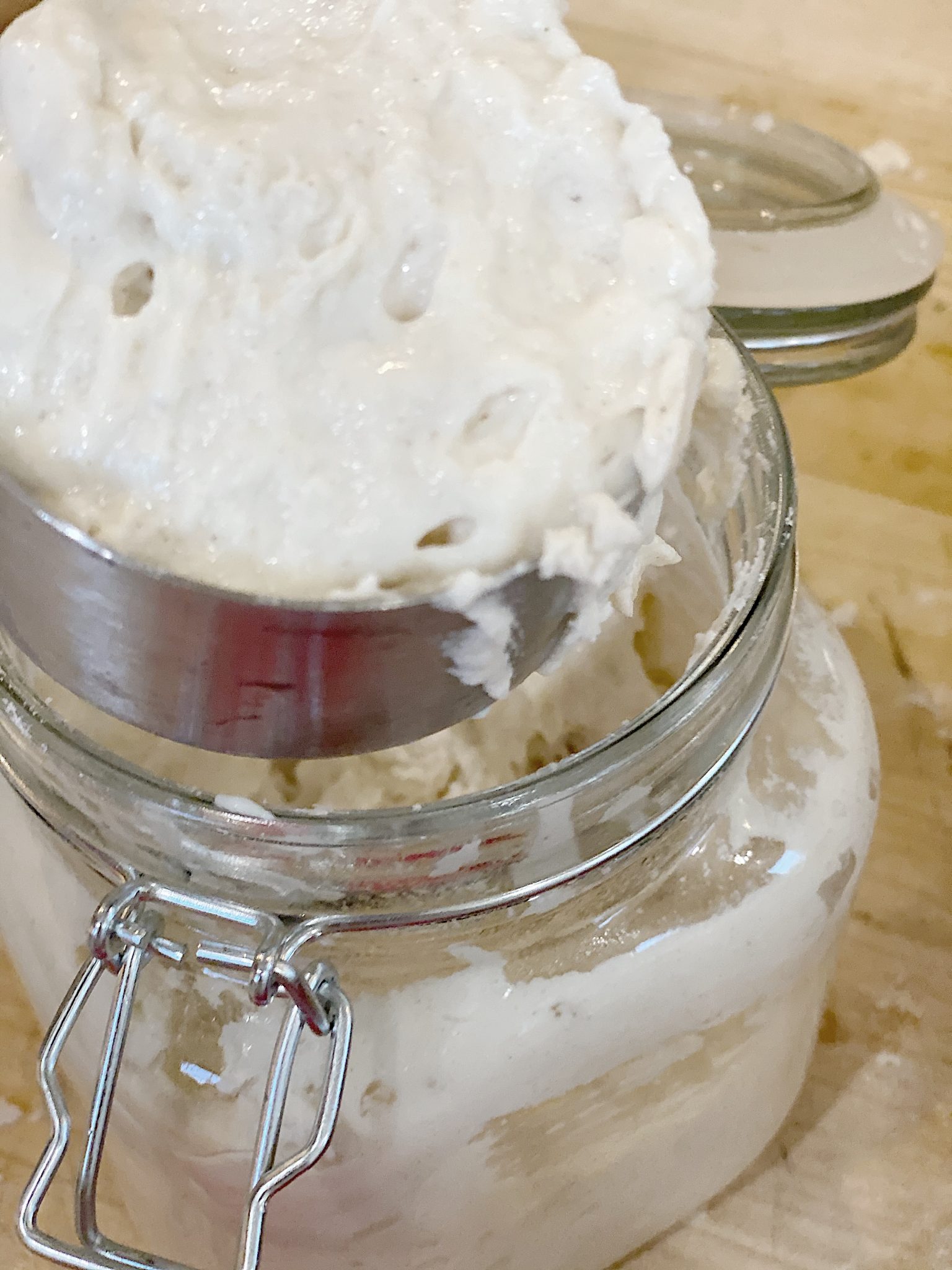 Gluten Free Sourdough Starter