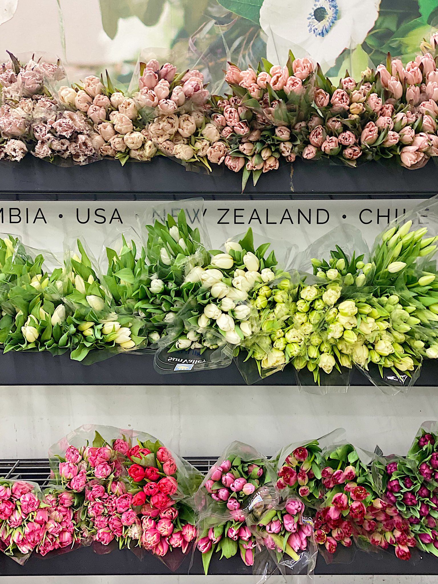 Los Angeles Flower Market