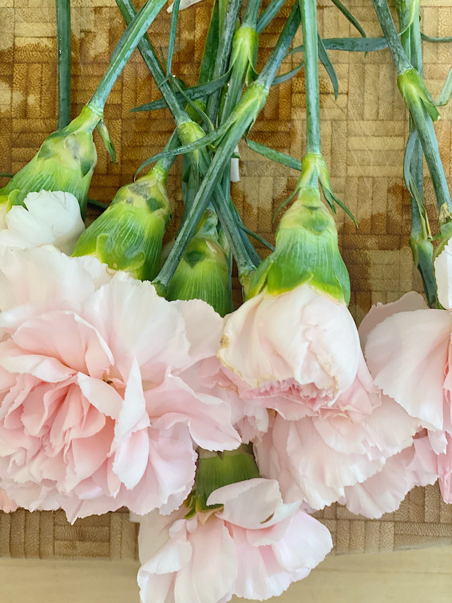 Pink Double Carnations