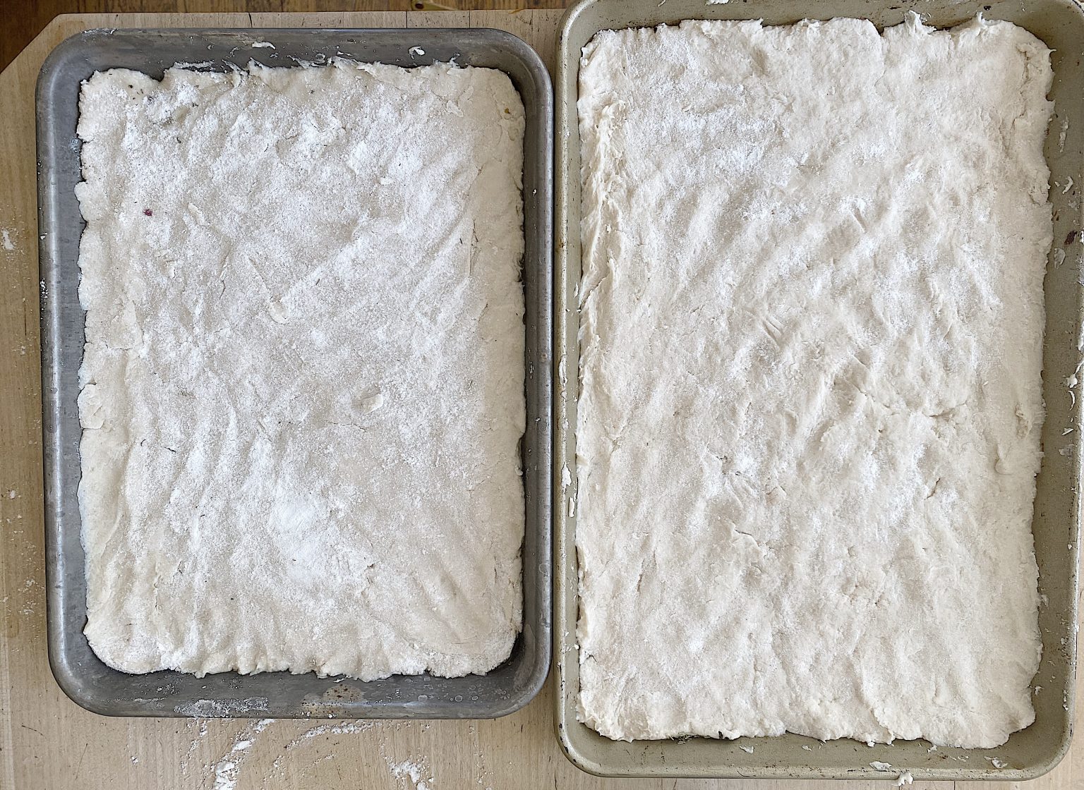 Focaccia Bread Dough Gluten Free