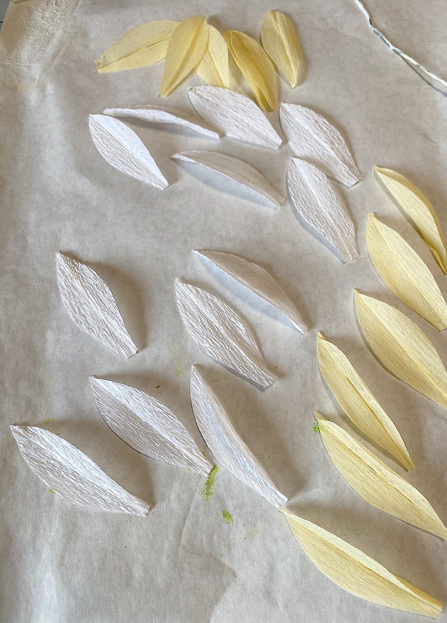 How to Make Easy Paper Flower Daffodils 7